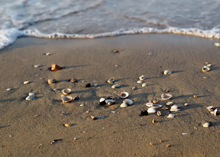 Apartment Flat With Garden And Parking Bibione