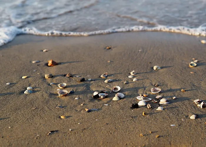 Flat With Garden And Parking Апартаменти Бібіоне